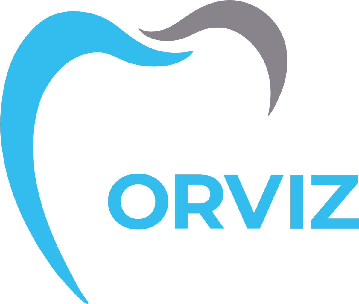 Orviz